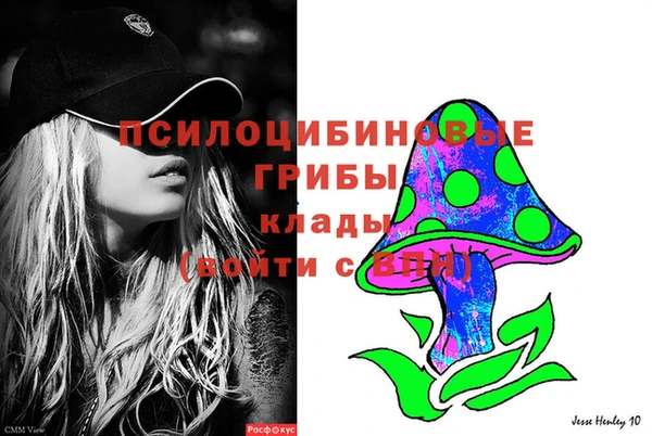 дживик Арсеньев