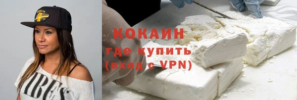 дживик Арсеньев