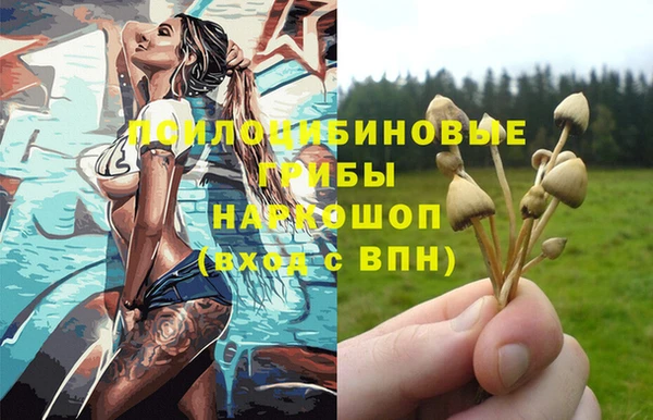 дживик Арсеньев